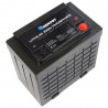 Renogy Lithium-Iron Phosphate Battery 12 Volt 100Ah